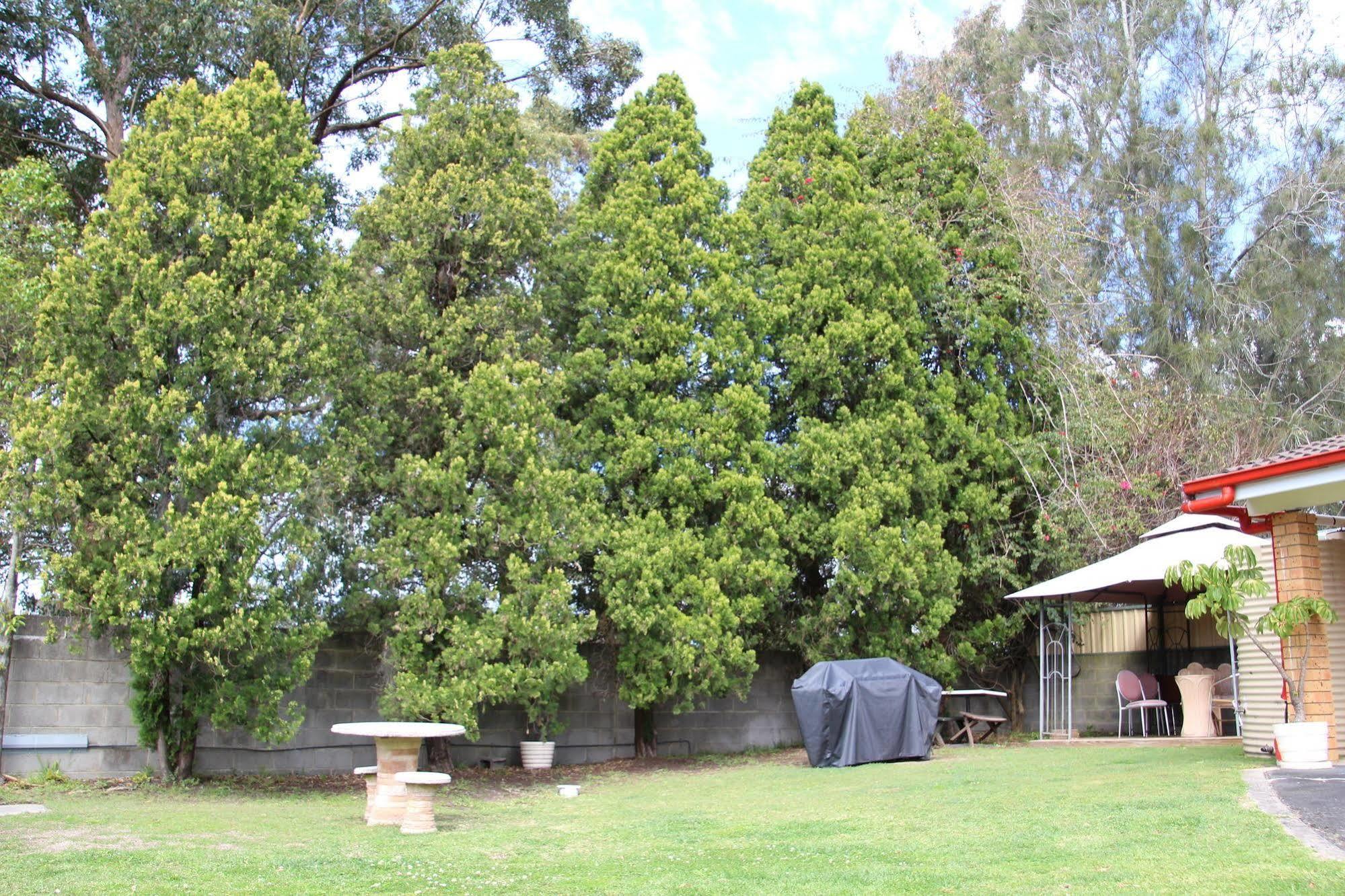 Central Coast Motel Wyong Exterior foto